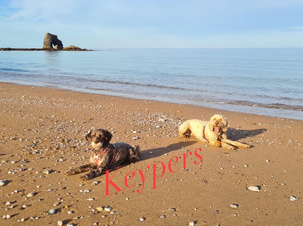 Keypers Second Home Key Holding Salcombe Kingsbridge Thurlestone